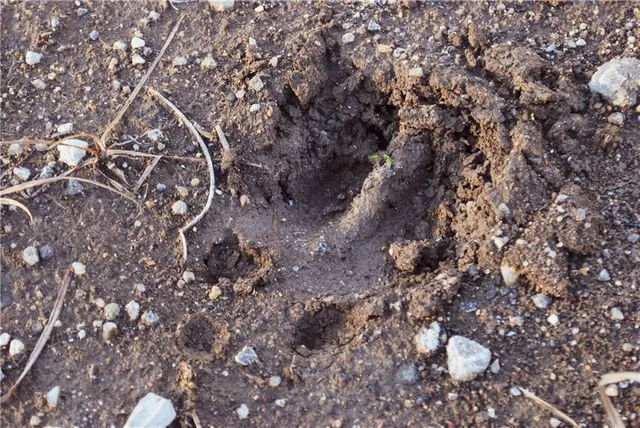 $679,500 | 0 92nd Highway, McLouth, KS 66054