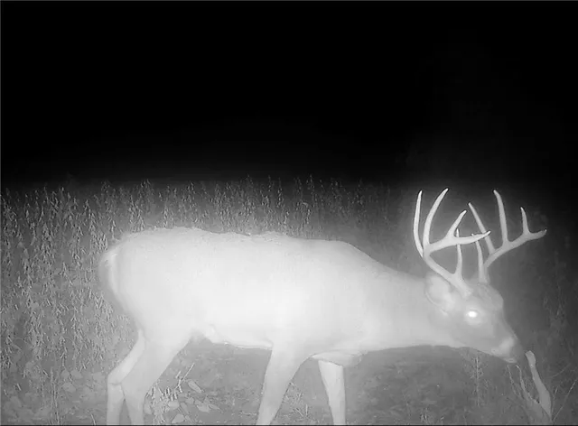 $679,500 | 0 92nd Highway, McLouth, KS 66054