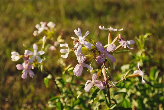 $679,500 | 0 92nd Highway, McLouth, KS 66054