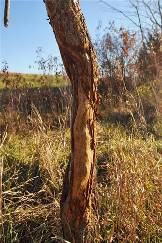 $679,500 | 0 92nd Highway, McLouth, KS 66054