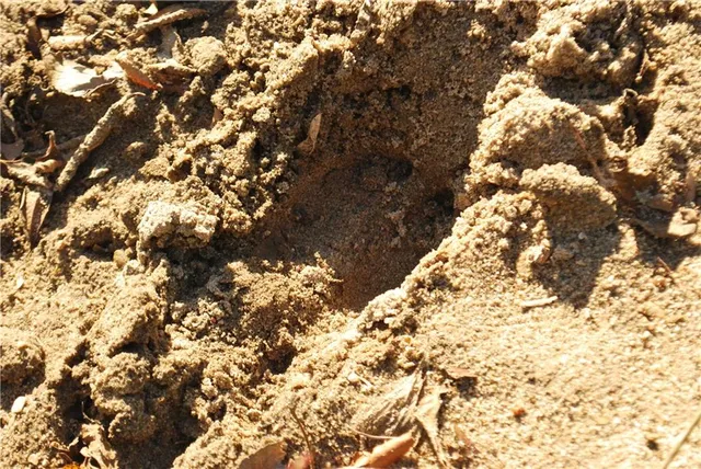 $679,500 | 0 92nd Highway, McLouth, KS 66054