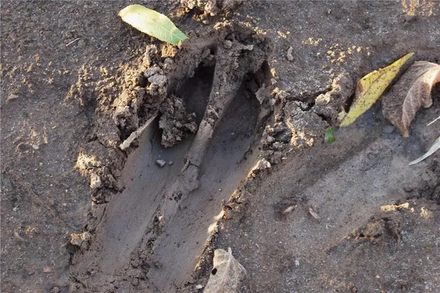 $679,500 | 0 92nd Highway, McLouth, KS 66054