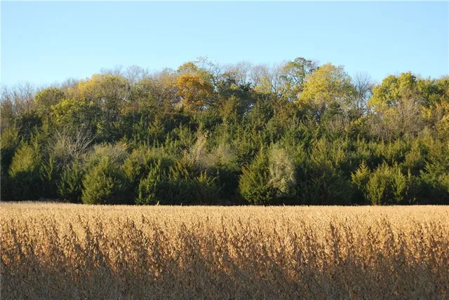 $679,500 | 0 92nd Highway, McLouth, KS 66054