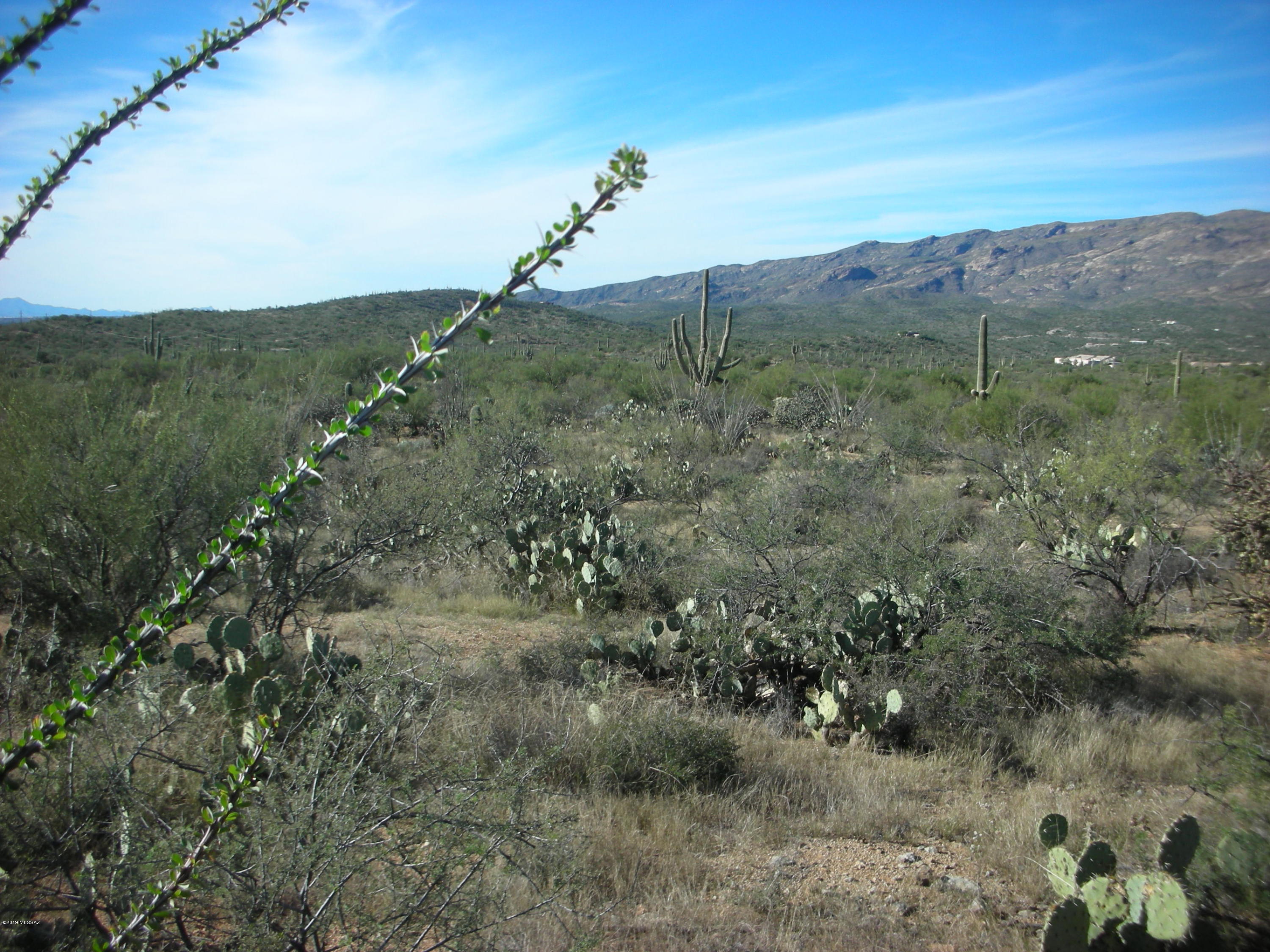 Tbd East Camino Dorotea Road Vail, AZ 85641 - Photo 4 of 24