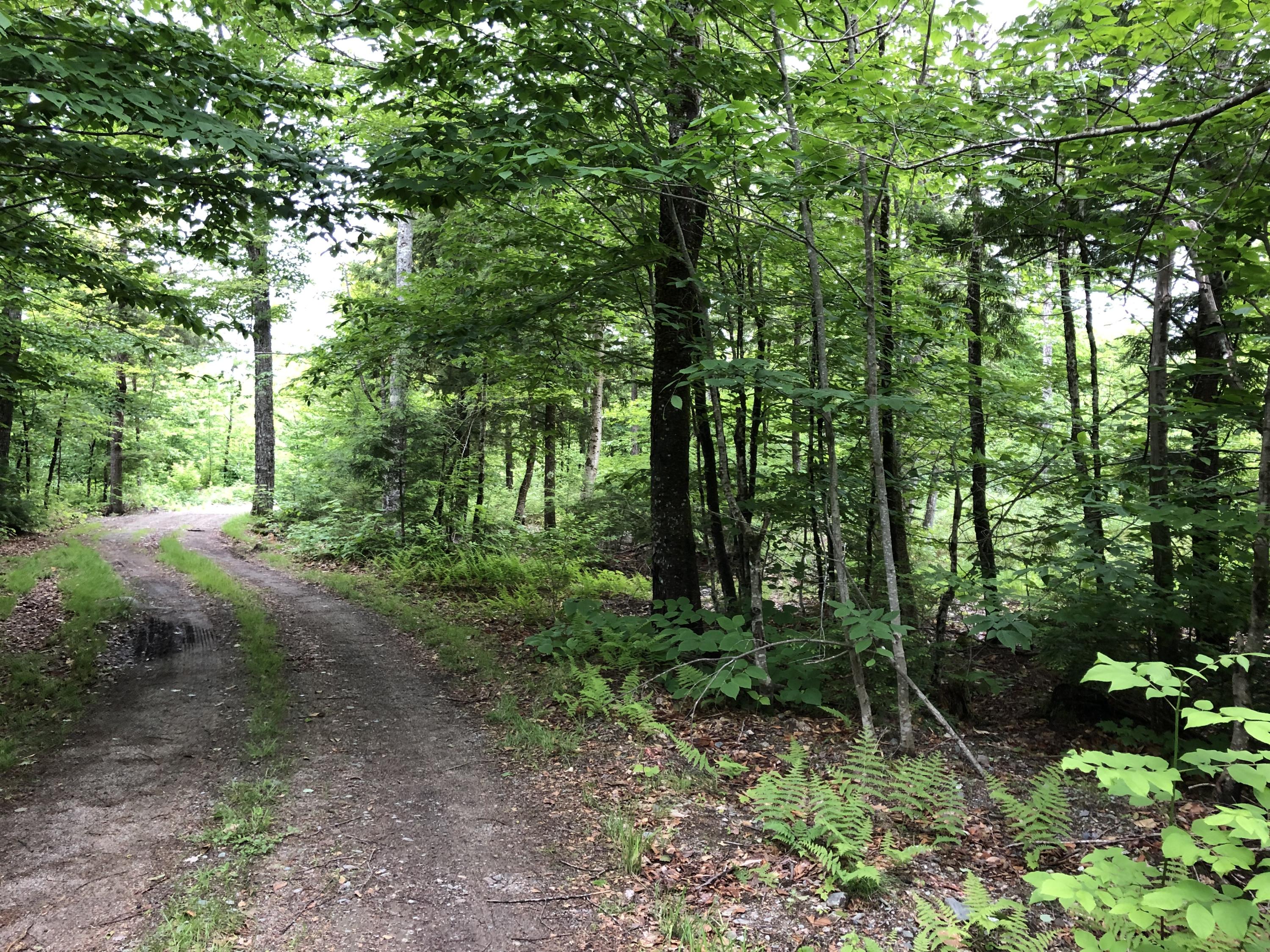 Tbd Tbd Road Burlington, ME 04417 - Photo 1 of 10 16-4