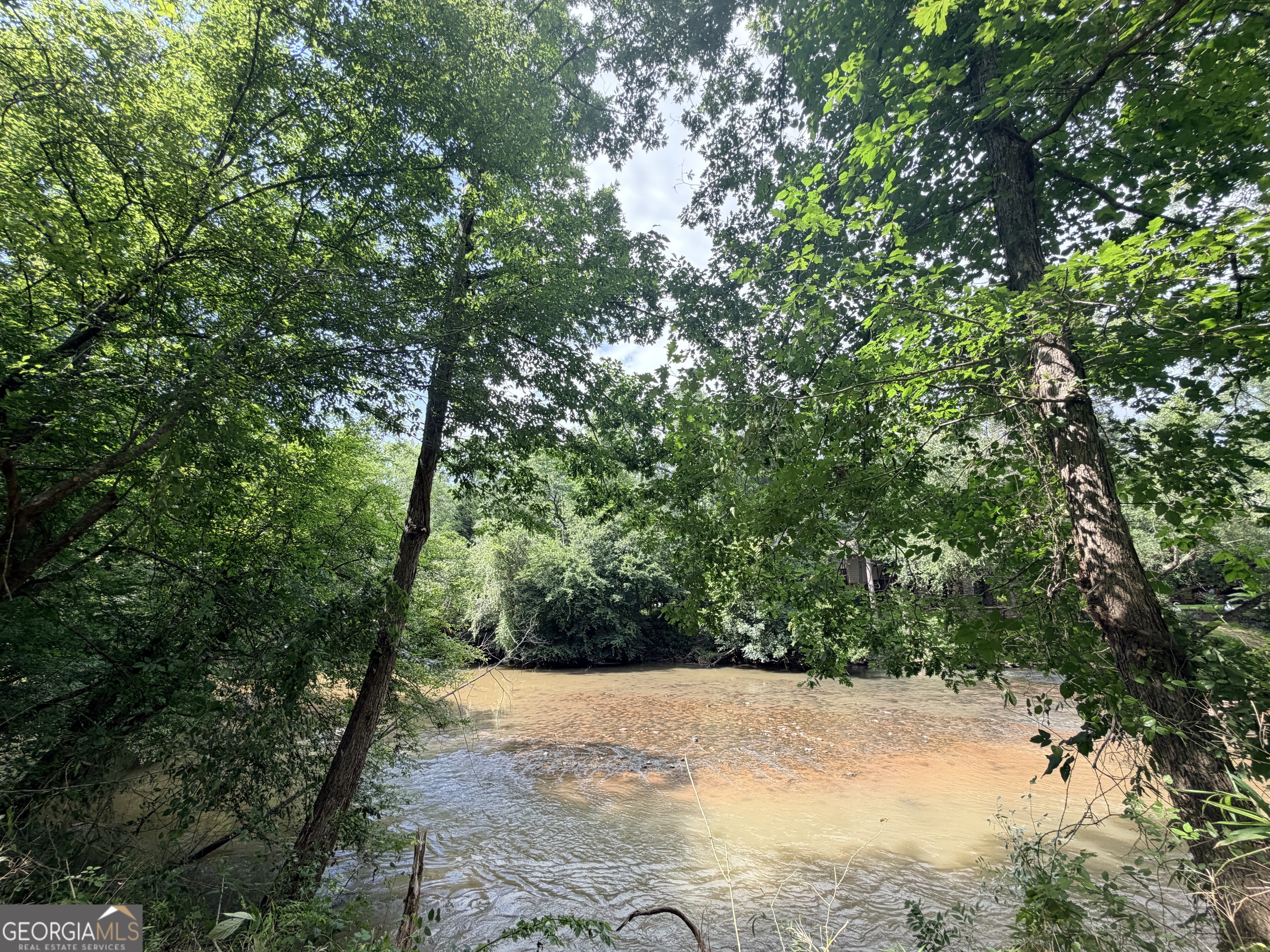 1590 James Adams Road Danielsville, GA 30633 - Photo 54 of 98