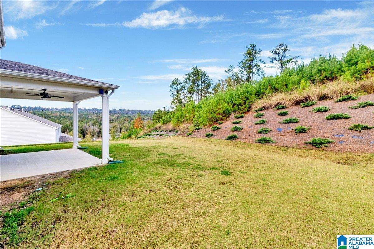 508 Rock Terrace Way Helena, AL 35080 - Photo 6 of 22