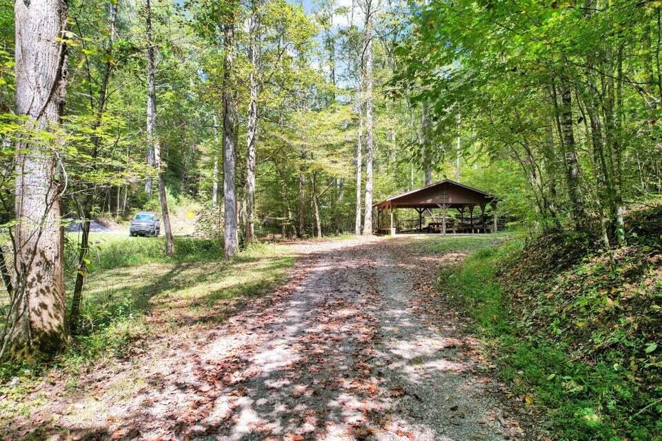 230 Big Towee Road Reliance, TN 37369 - Photo 24 of 32 Towee Rd 9