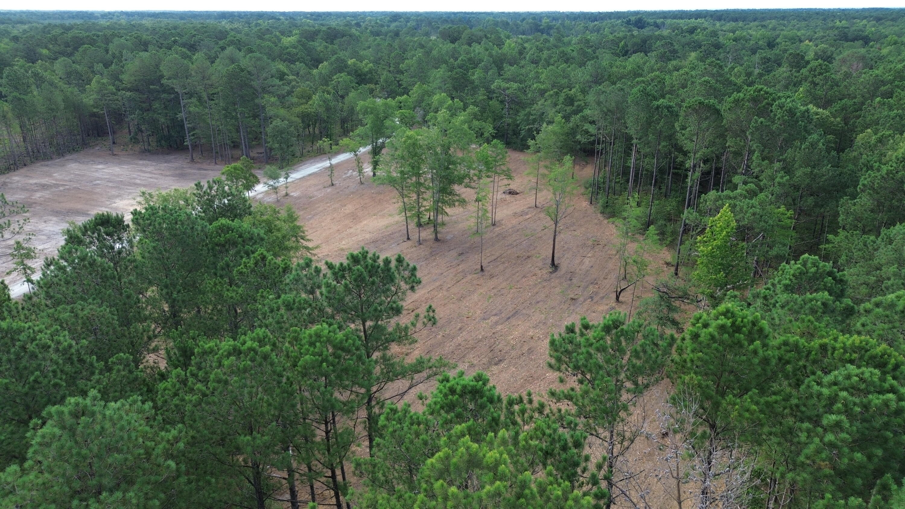 2 Trojan Road Cross, SC 29436 - Photo 15 of 17