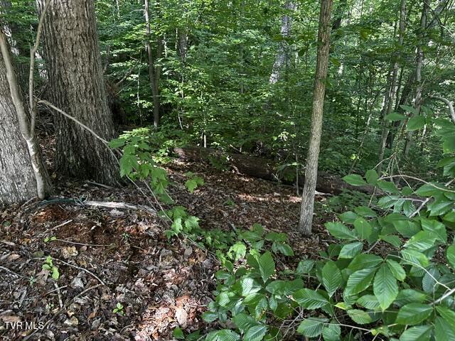 230 Ridge Road Weber City, VA 24290 - Photo 23 of 46 IMG_0622