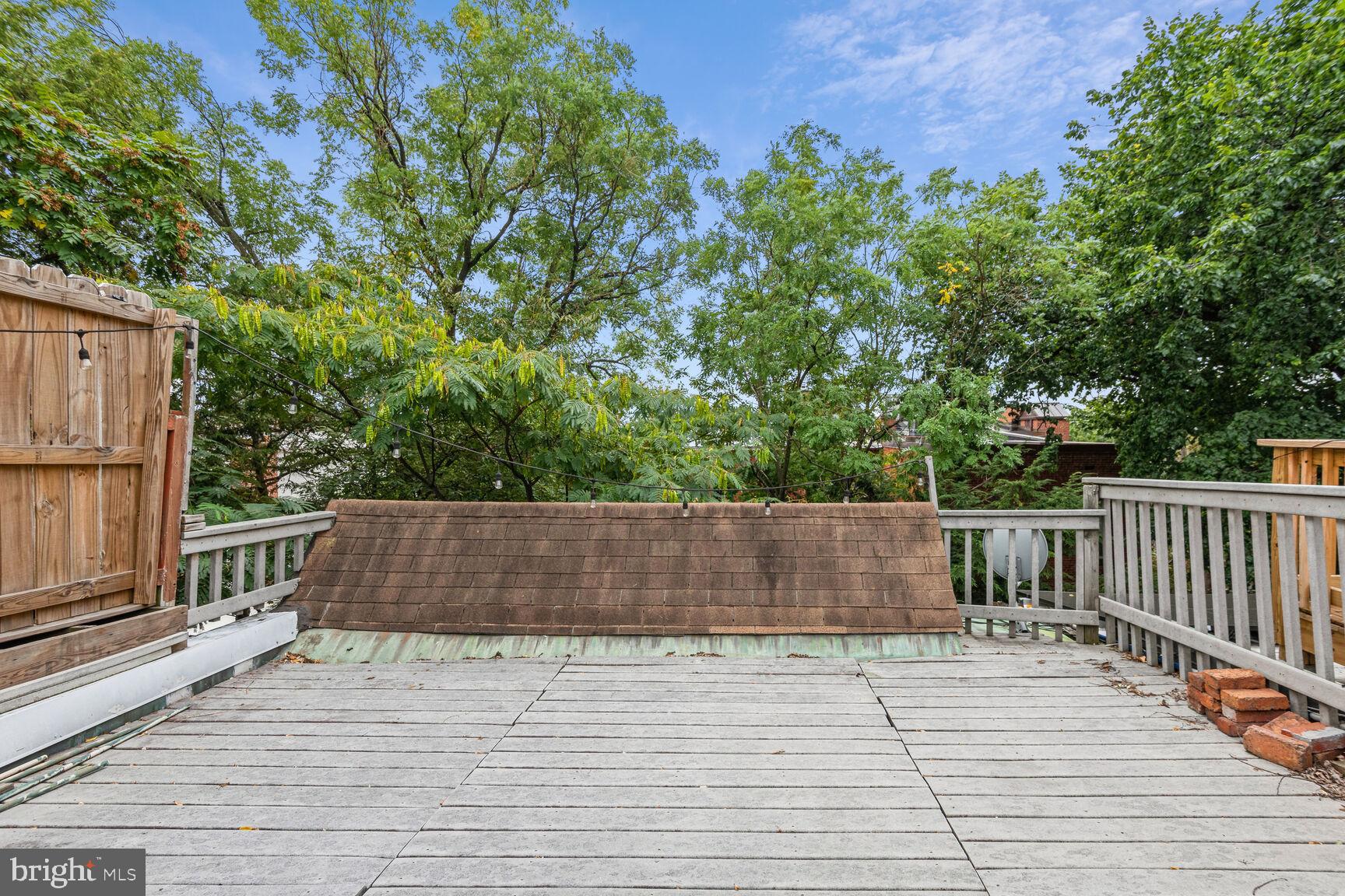 2226 Decatur Place Northwest Washington, DC 20008 - Photo 6 of 6 Lush Greenery view from the Rooftop