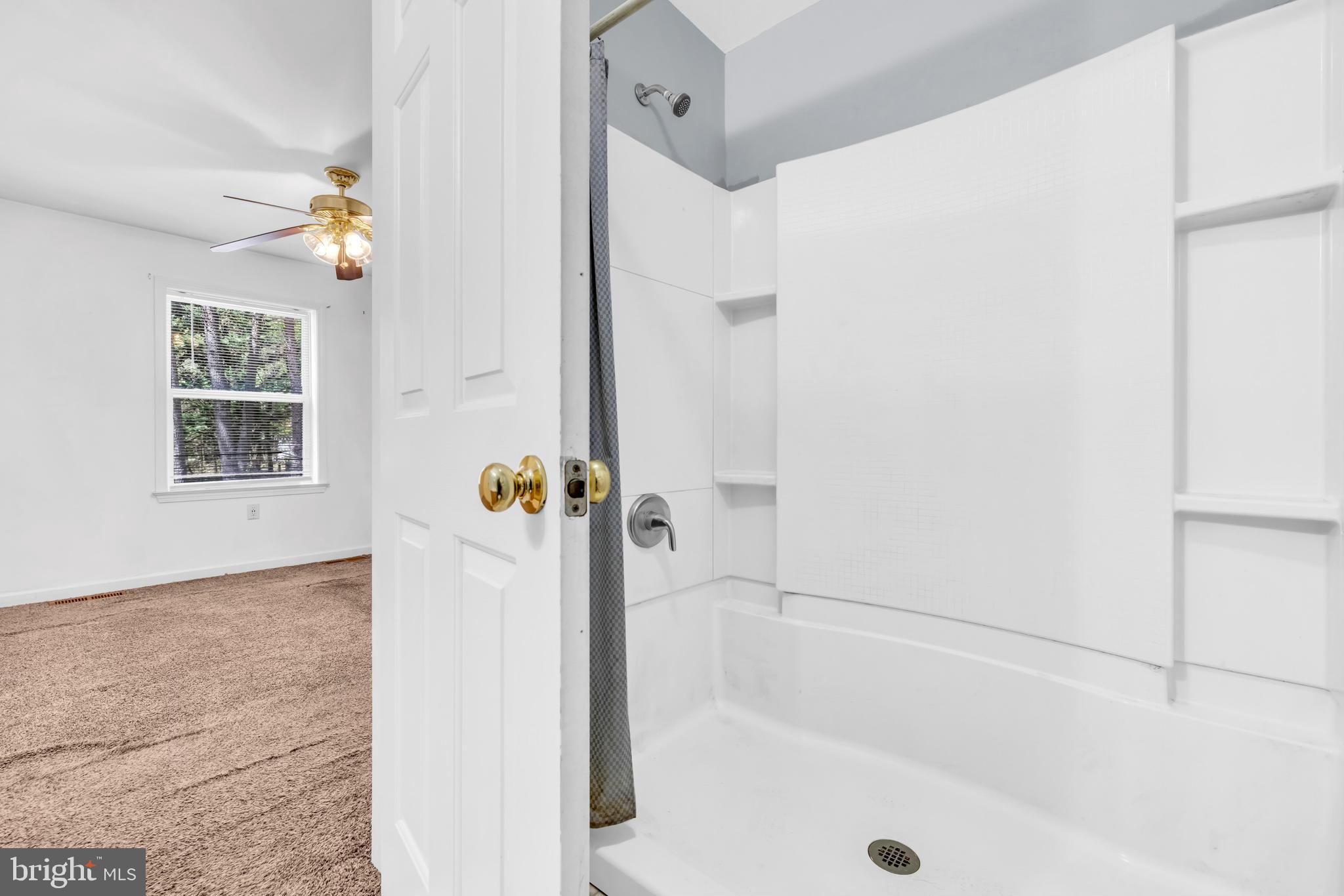 7392 Todds Wharf Road Preston, MD 21655 - Photo 28 of 63 a bathroom with a bathtub and a shower