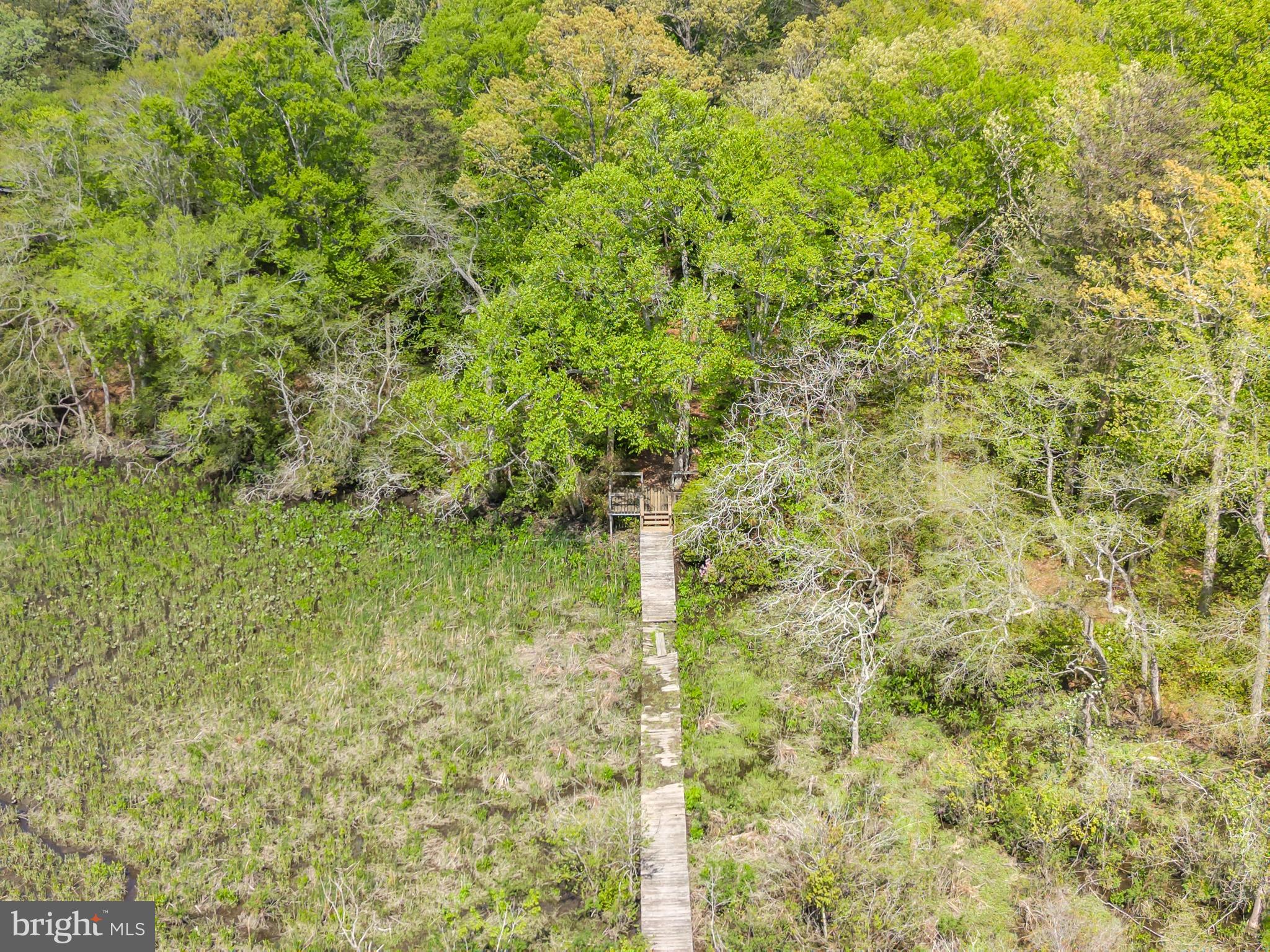 7392 Todds Wharf Road Preston, MD 21655 - Photo 62 of 63 View of dock with long walkway to the River