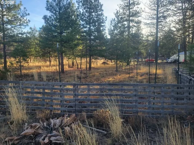 a view of open space with a street
