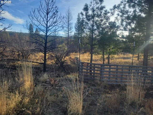 a view of a yard covered in snow
