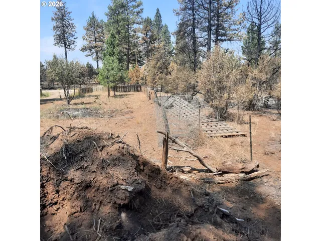 a view of outdoor space with garden