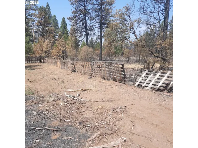 a view of a yard covered in snow