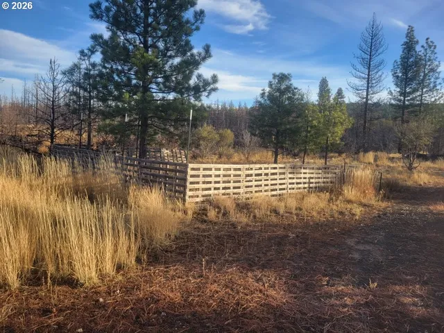 a view of outdoor space with garden