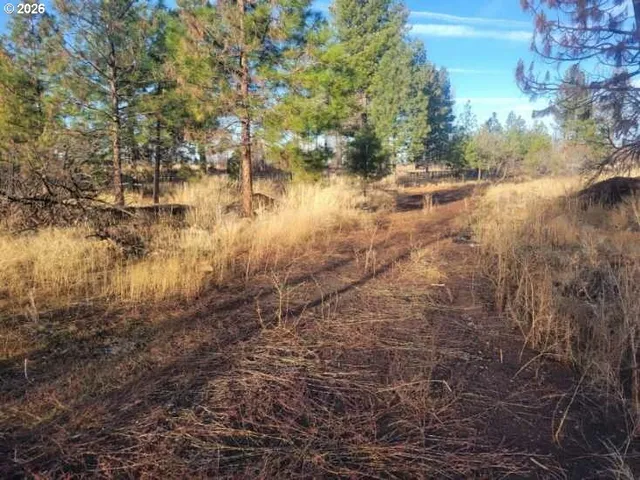 a view of a backyard of the house