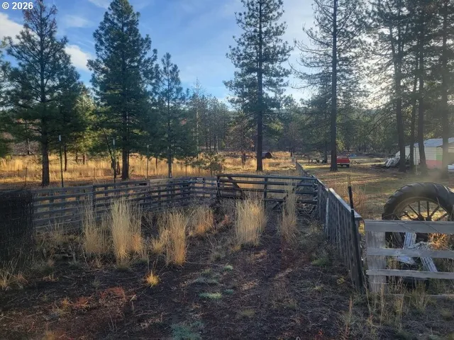 a backyard of a house with lots of green space and lake view