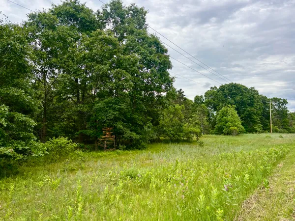 $55,000 | V/l Whitehall Road, Whitehall, MI 49461