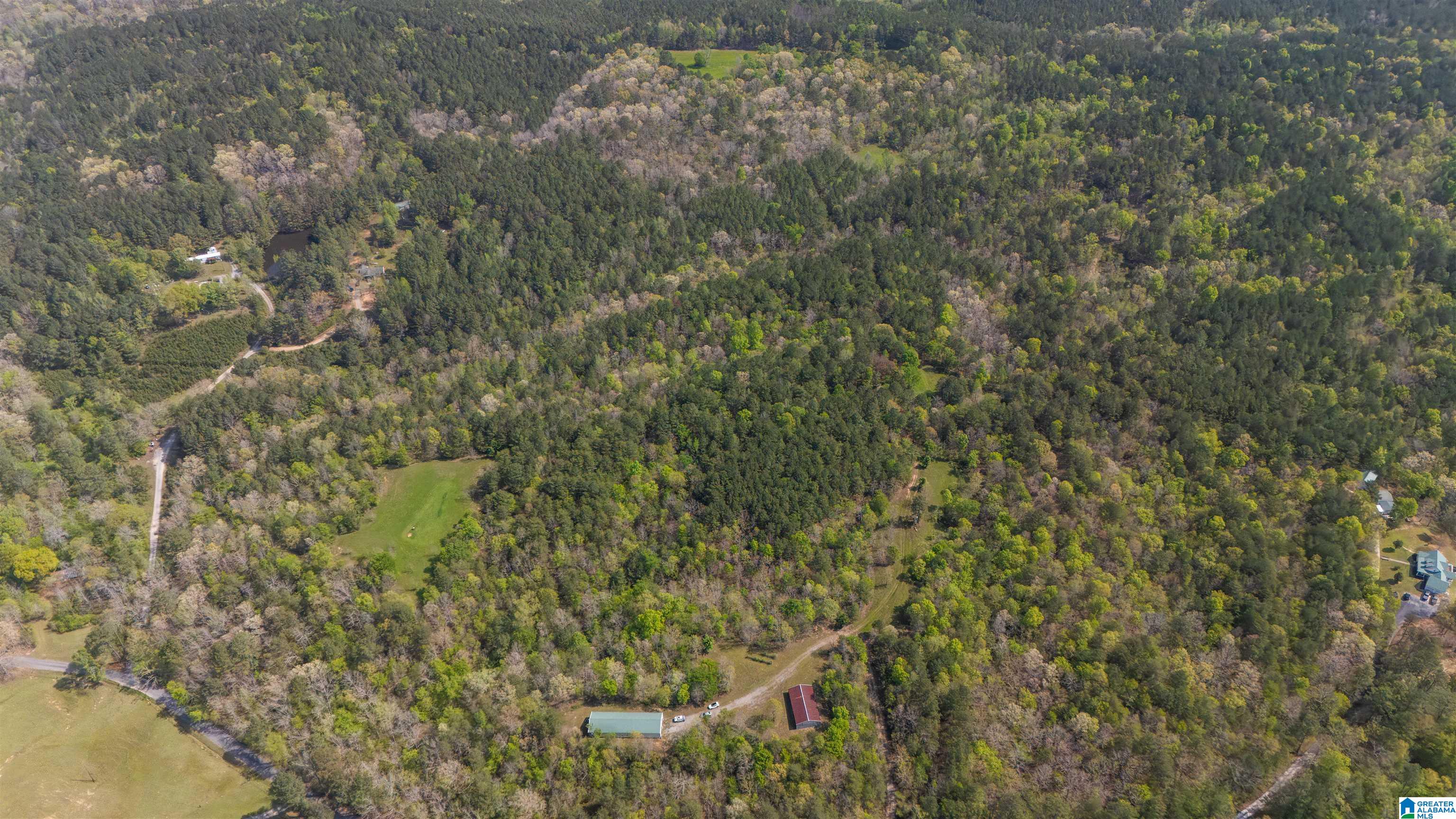 2121 Center Hill Road Trafford, AL 35172 - Photo 59 of 100