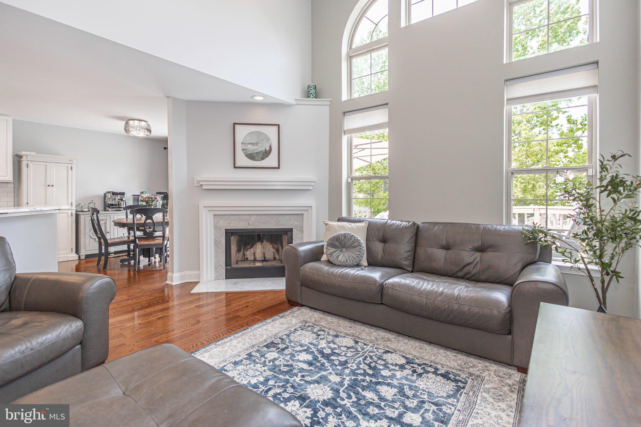 Sunlit great room