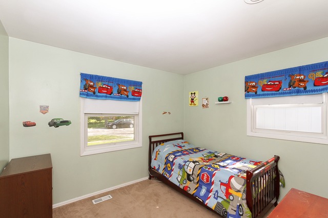 407 Audubon Road Streamwood, IL 60107 - Photo 15 of 20