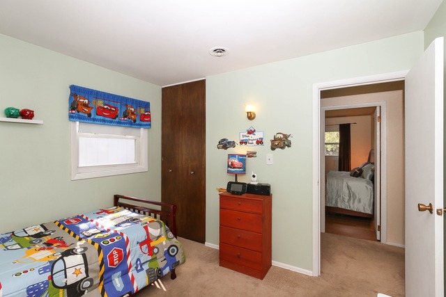 407 Audubon Road Streamwood, IL 60107 - Photo 16 of 20
