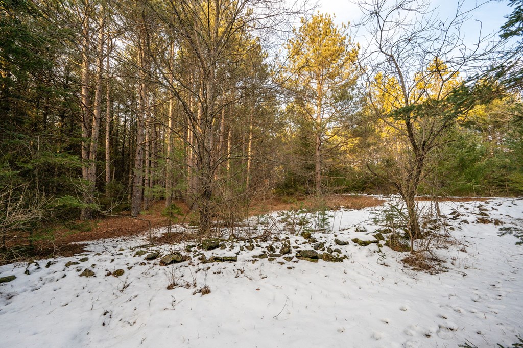 Lot 1 Quarterline Road Fish Creek, WI 54212 - Photo 21 of 21