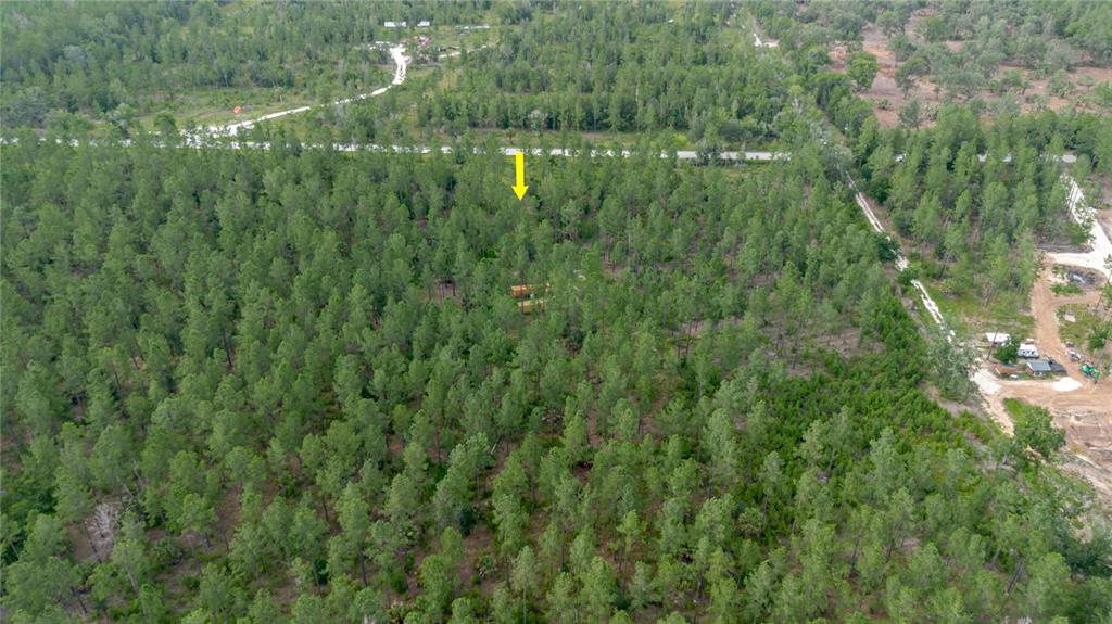 Northeast 90th Street Road Fort McCoy, FL 32134 - Photo 8 of 25