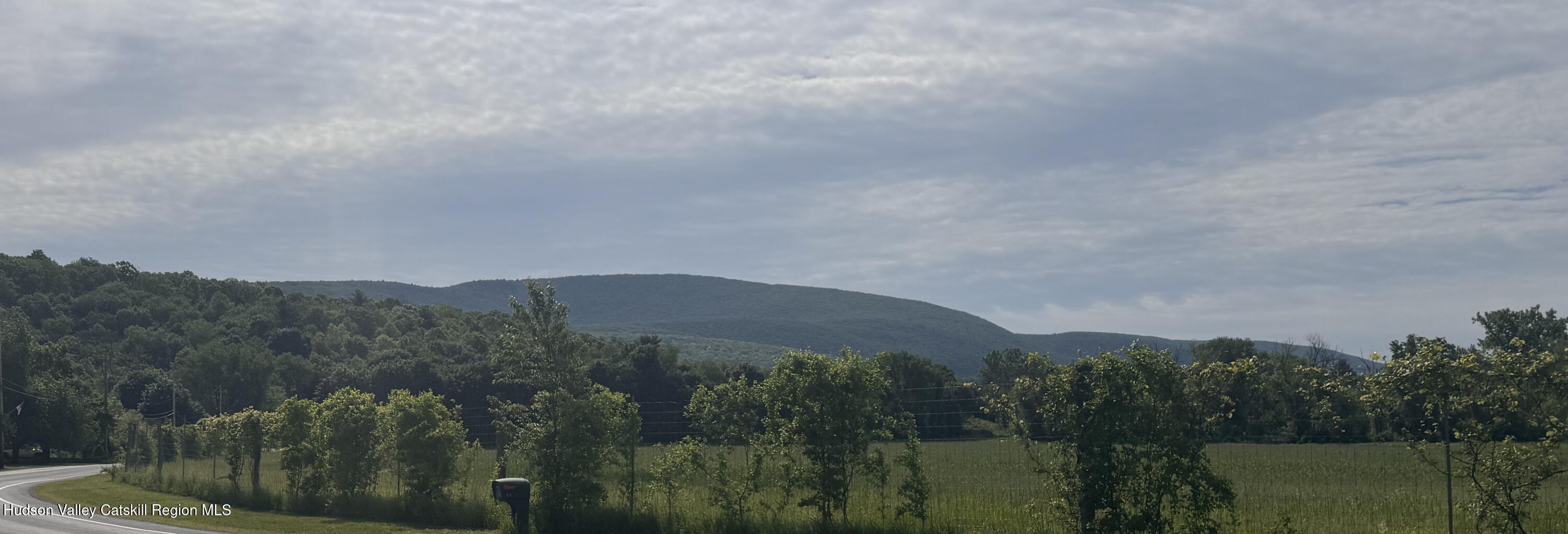 317 Mountain View Road Copake, NY 12516 - Photo 20 of 27 a view of a lake in middle of the forest