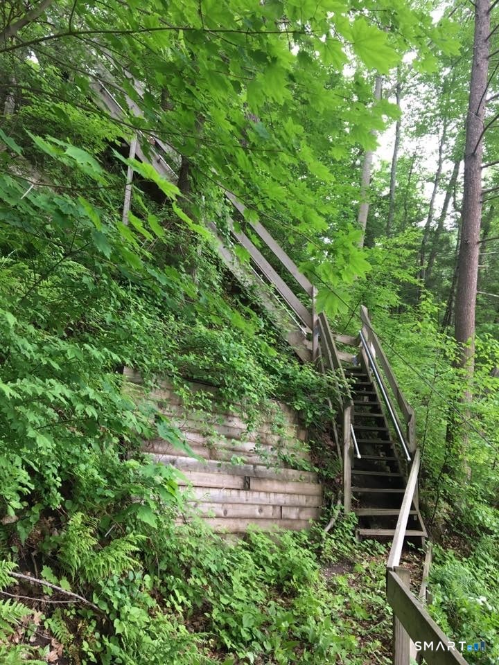 14 Laurel Trail Newtown, CT 06482 - Photo 38 of 39 a backyard of a house with lots of green space