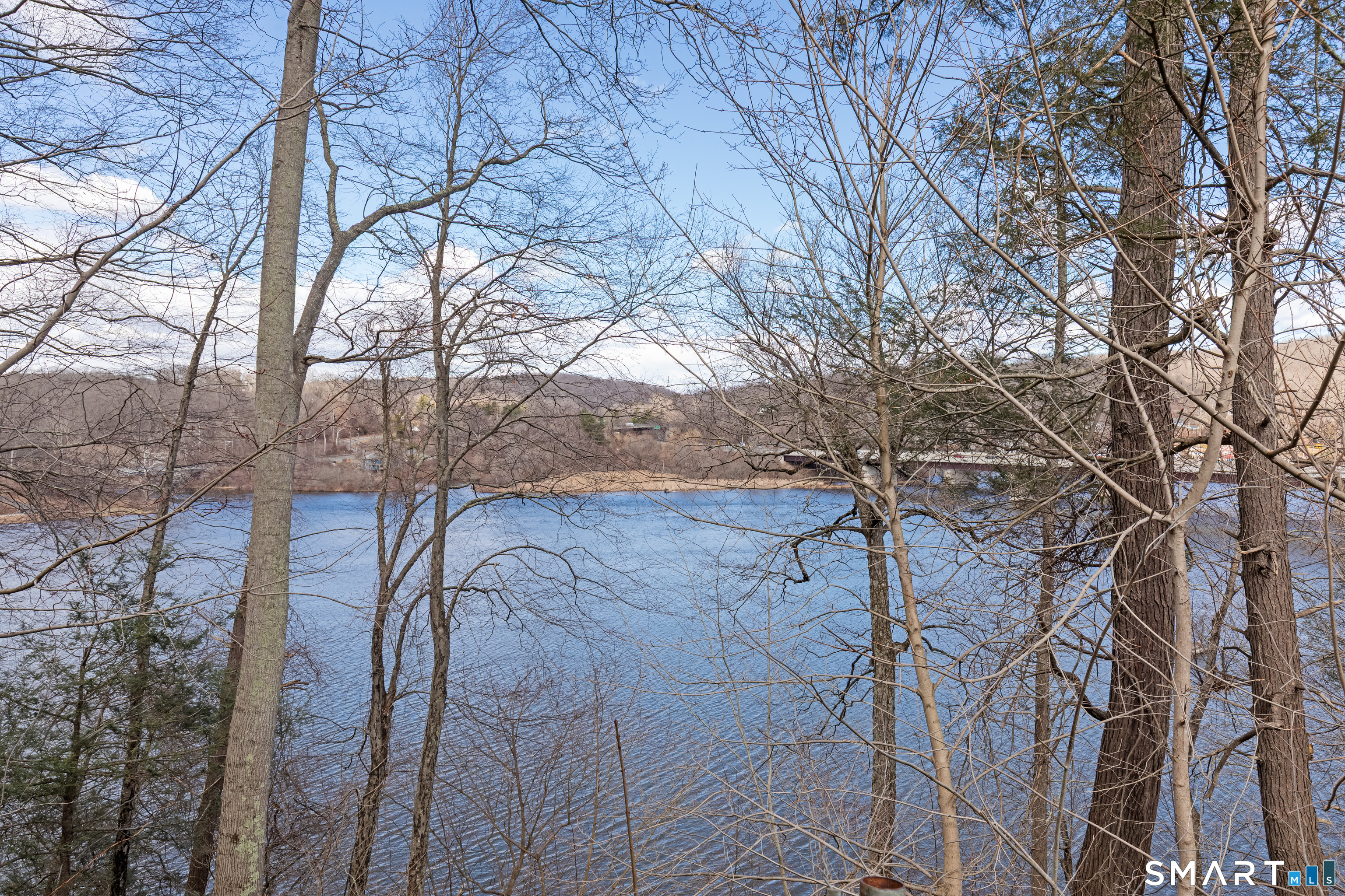 14 Laurel Trail Newtown, CT 06482 - Photo 4 of 39 a view of a yard with a tree