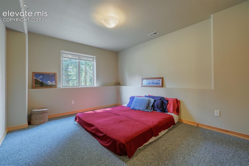 392 Aspen Village Road Divide, CO 80814 - Photo 35 of 43