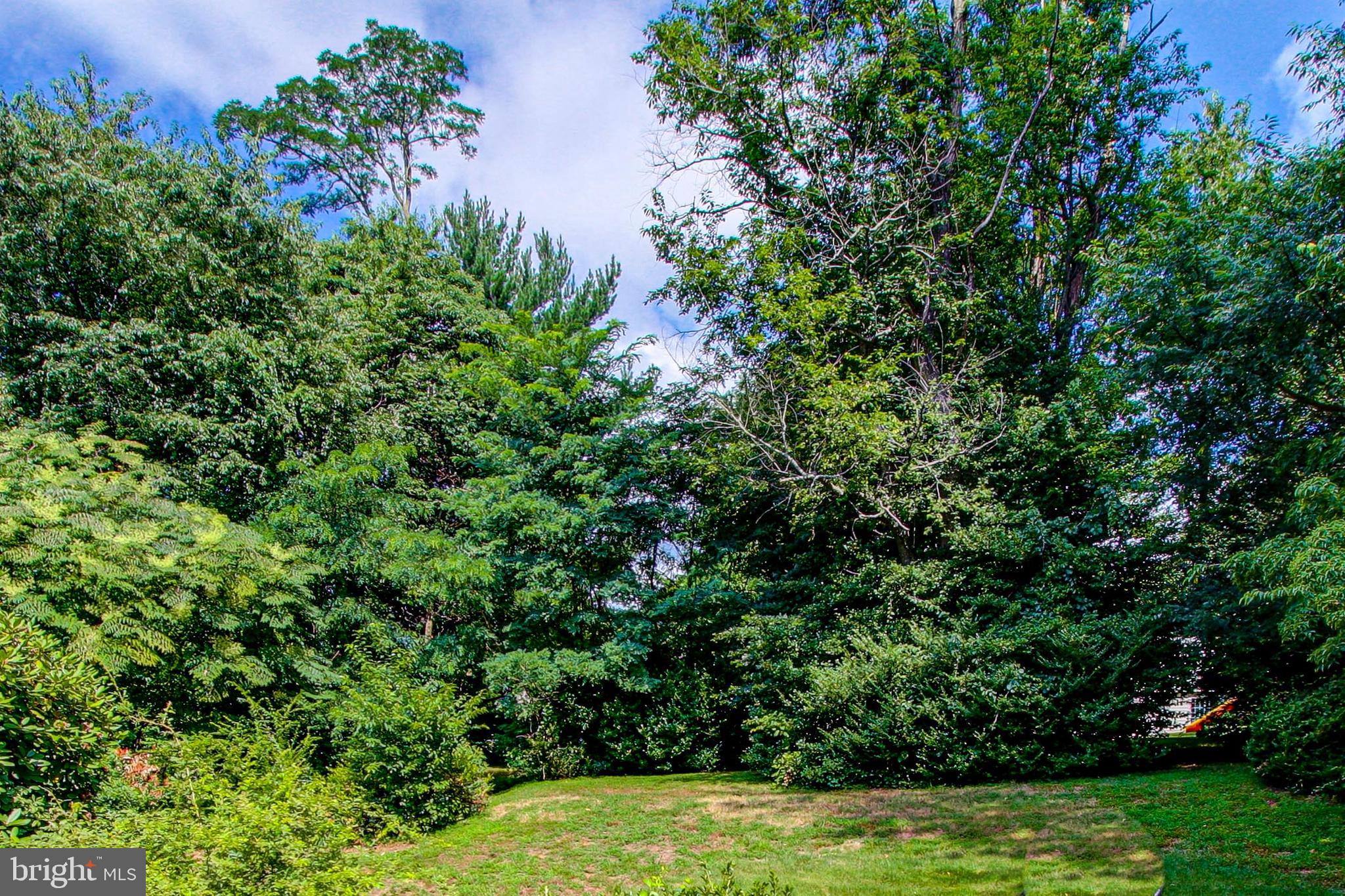 116 Gulph Hills Road Wayne, PA 19087 - Photo 68 of 69 Rear Yard
