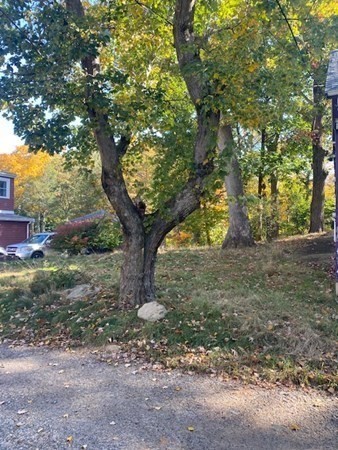 20 Walnut Road Boston, MA 02132 - Photo 2 of 34 a view of a yard with a tree