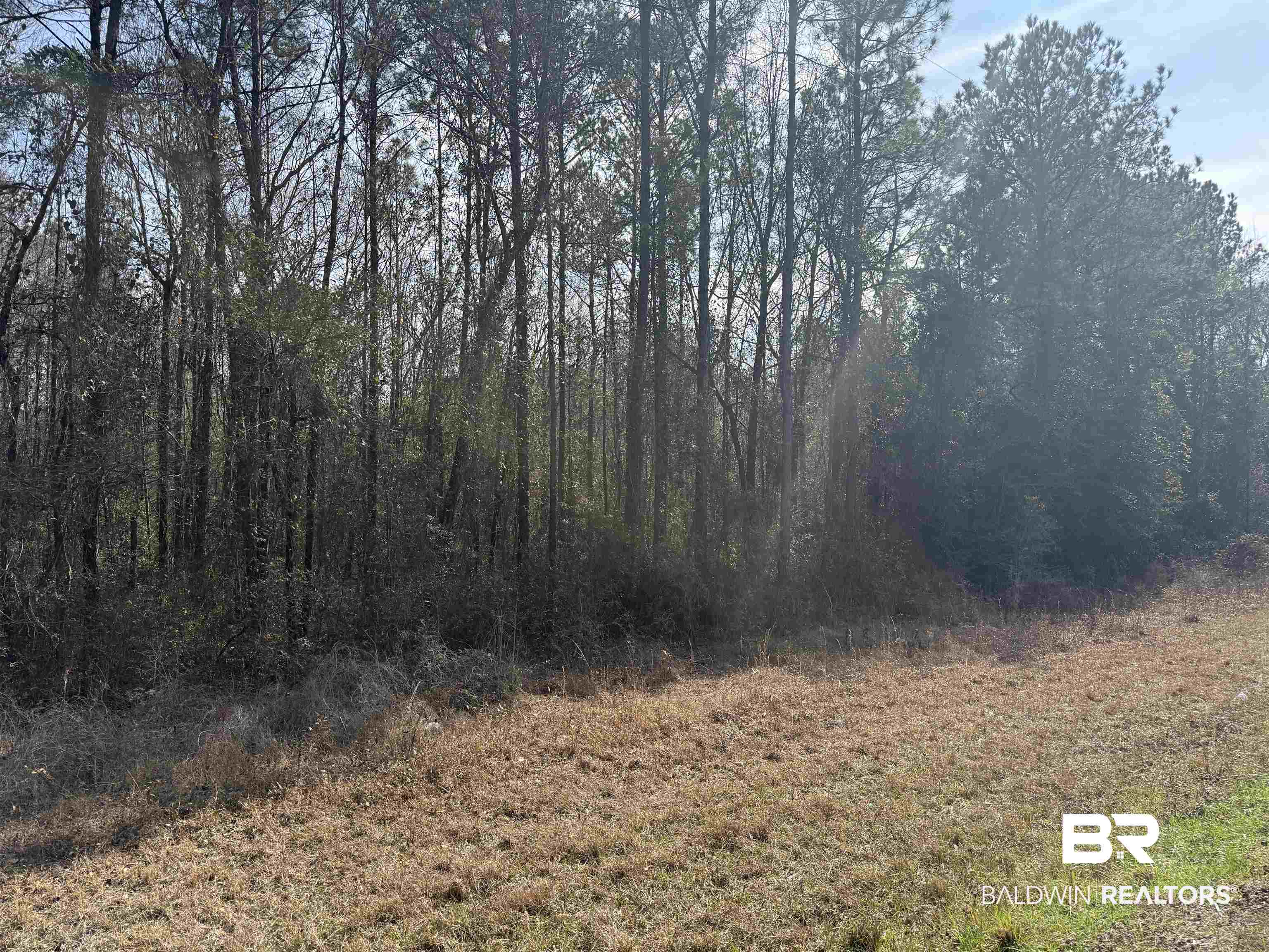 0 Highway 41 Range, AL 36473 - Photo 7 of 11 View of nature