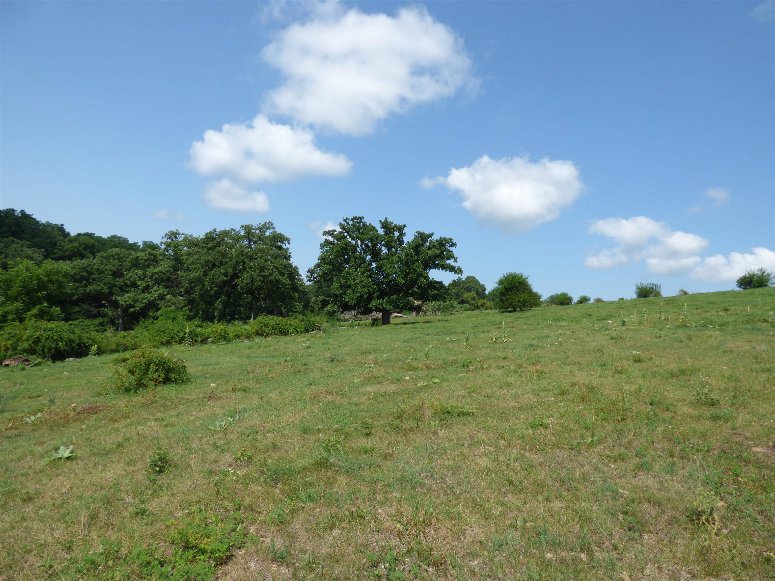 Tbd West Valley Road Galena, IL 61036 - Photo 11 of 14