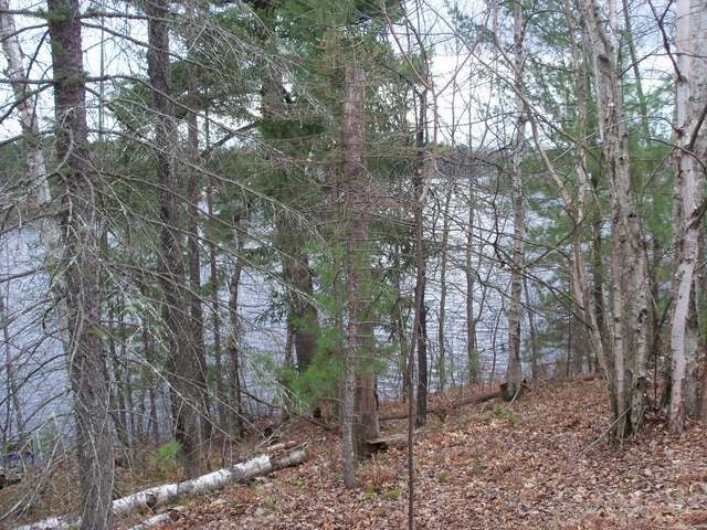 Lot#3 Hazy Bay Road Tomahawk, WI 54487 - Photo 4 of 13 Gallery Image 4