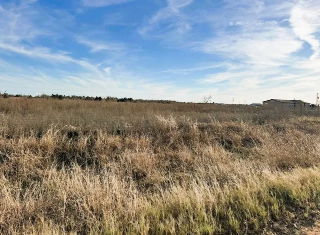 wooden view of lake and mountain