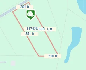 a view of a bird of a tree