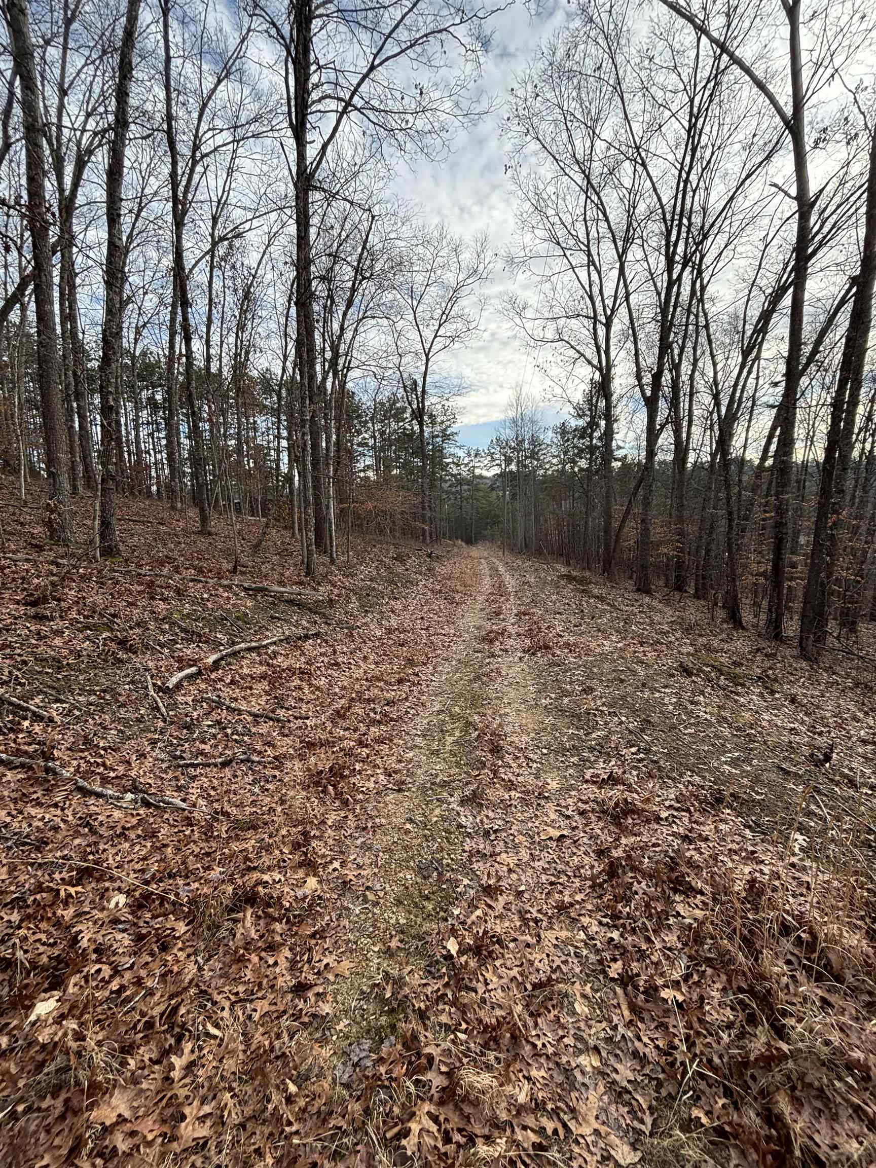 0 Dry Ridge Louisa, KY 41230 - Photo 3 of 18