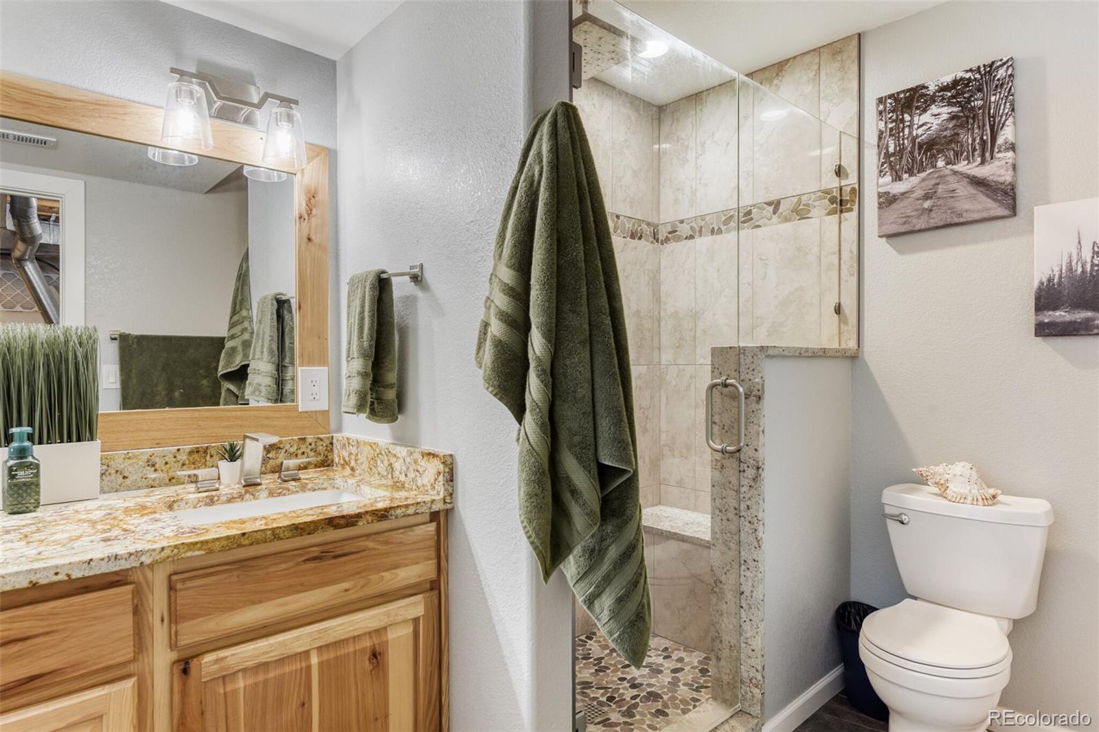 9913 Saybrook Street Highlands Ranch, CO 80126 - Photo 13 of 21