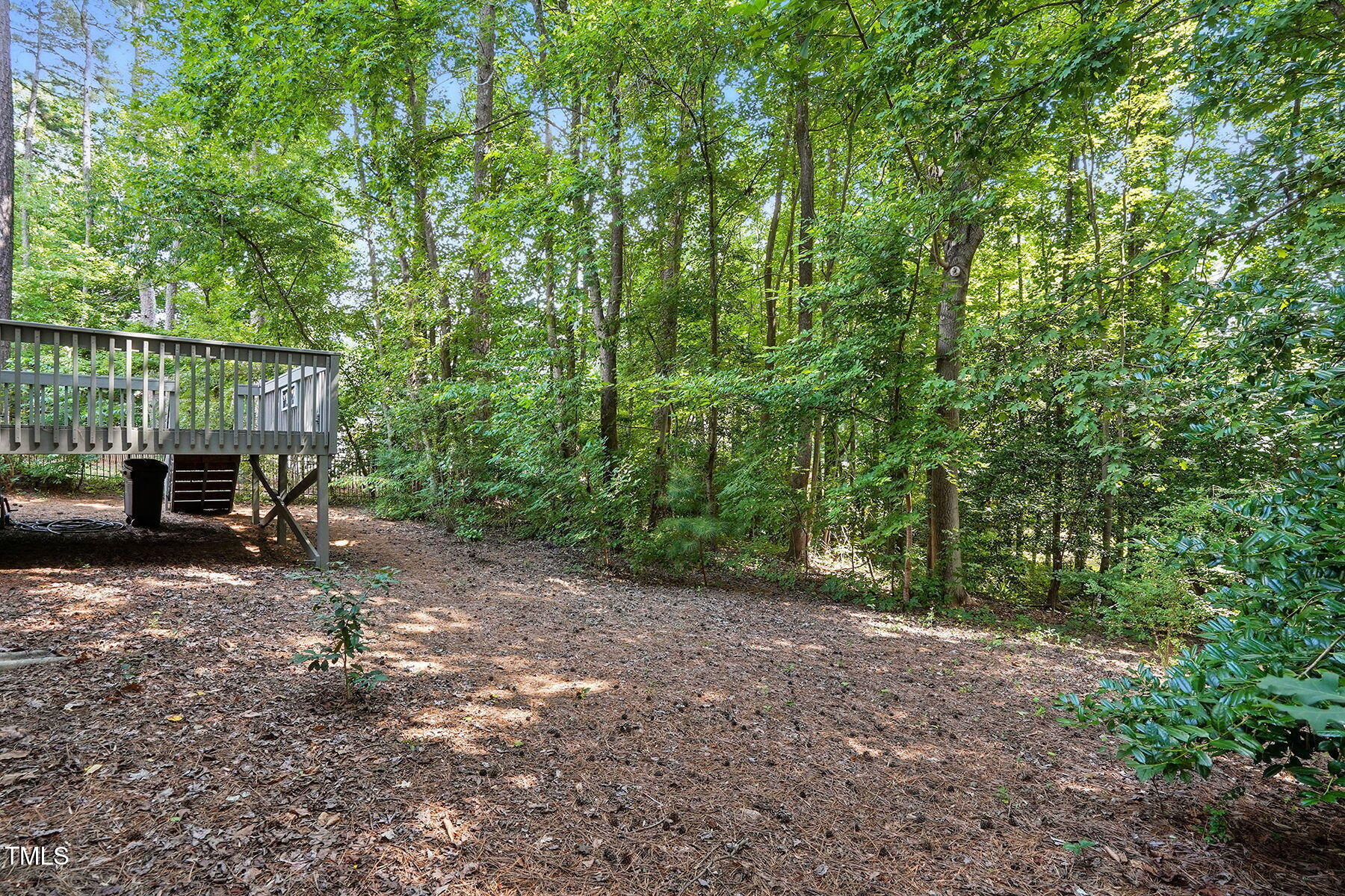 2425 Lemuel Drive Raleigh, NC 27615 - Photo 30 of 36 a view of a house with a backyard