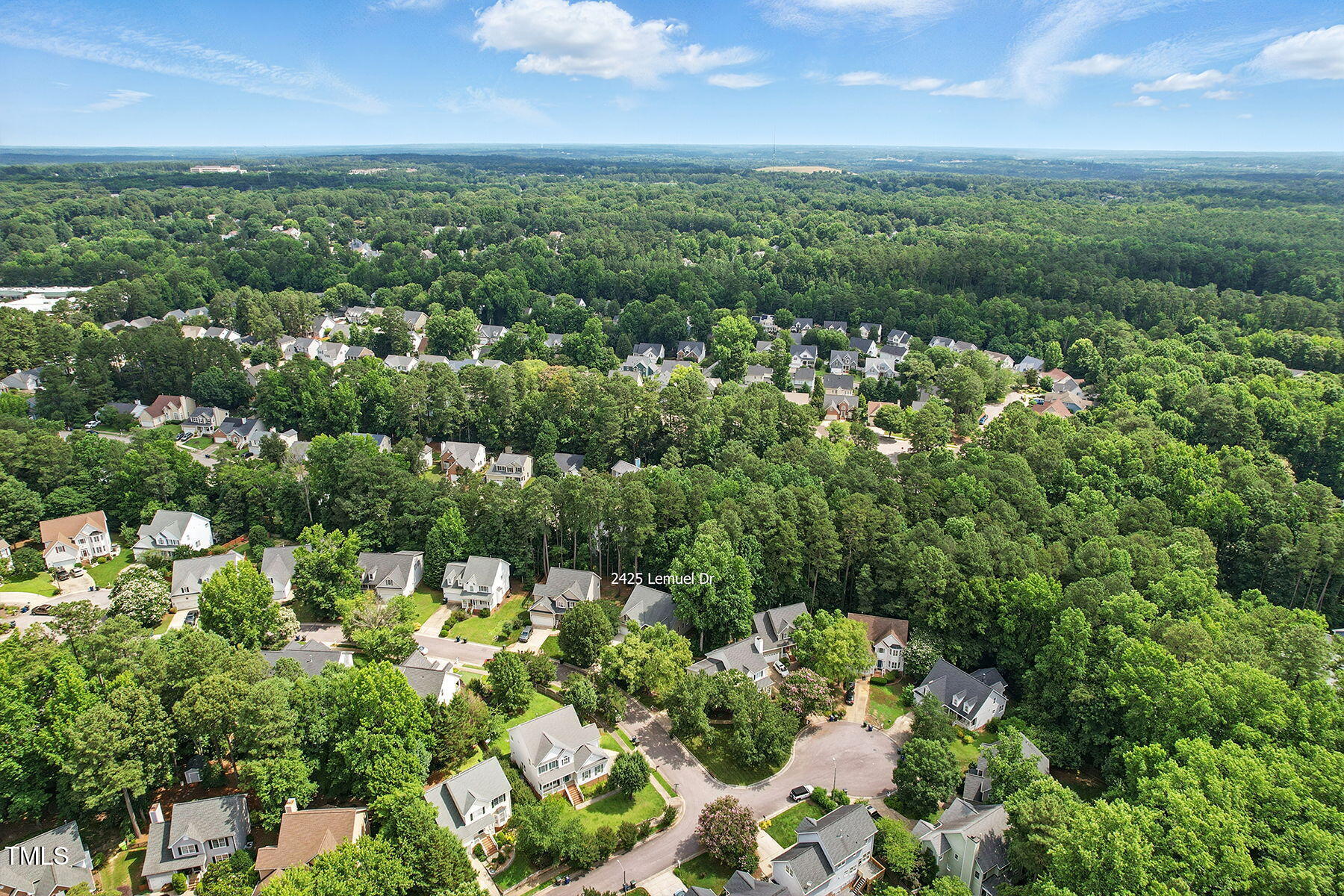 2425 Lemuel Drive Raleigh, NC 27615 - Photo 34 of 36 a view of a garden