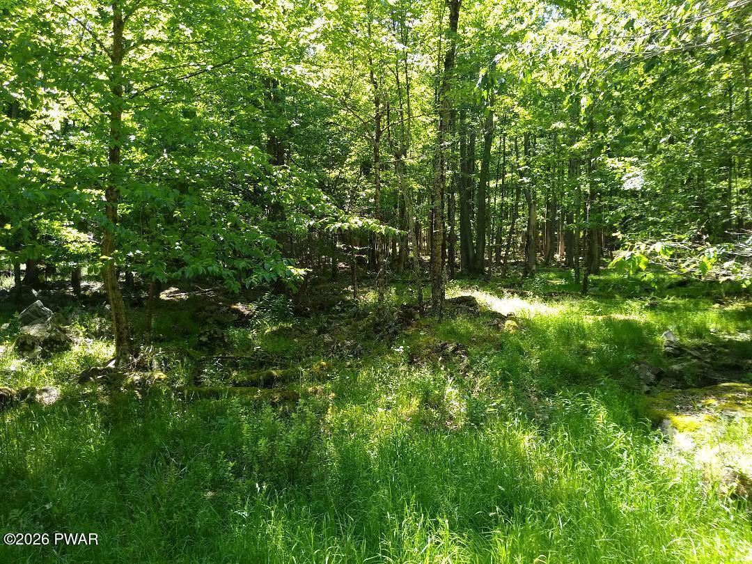 Creek Road Hawley, PA 18428 - Photo 3 of 13
