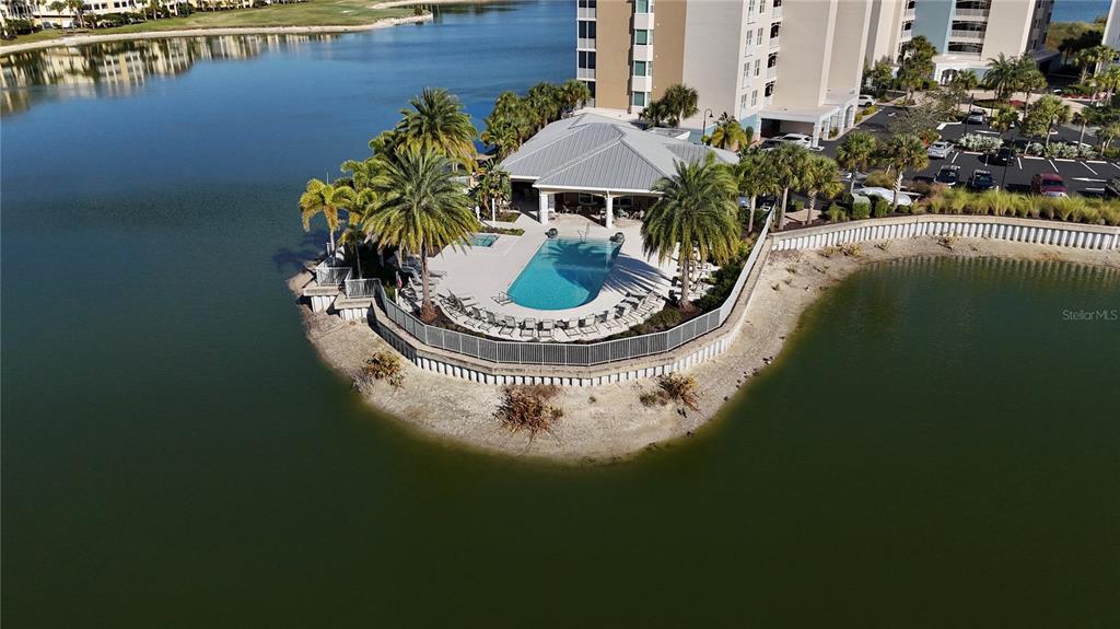 10520 Boardwalk Loop, Unit 301 Bradenton, FL 34202 - Photo 33 of 55 a view of a swimming pool with some plants and lake view