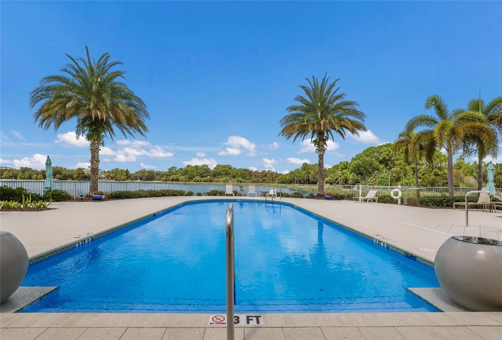 10520 Boardwalk Loop, Unit 301 Bradenton, FL 34202 - Photo 35 of 55 a view of a swimming pool and a chair