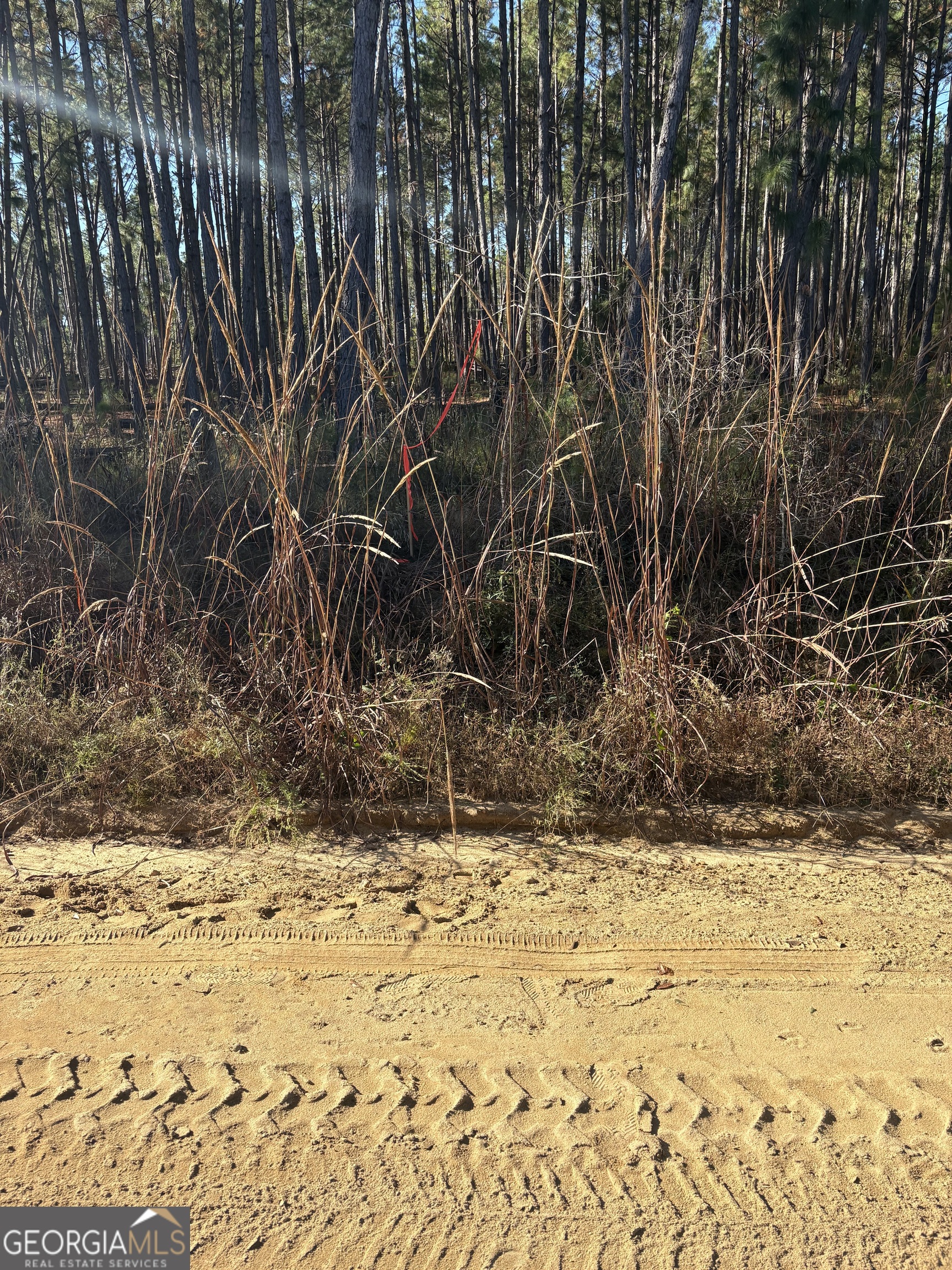 2457 Guy Weatherly Road Cadwell, GA 31009 - Photo 1 of 2 a view of a yard covered with snow